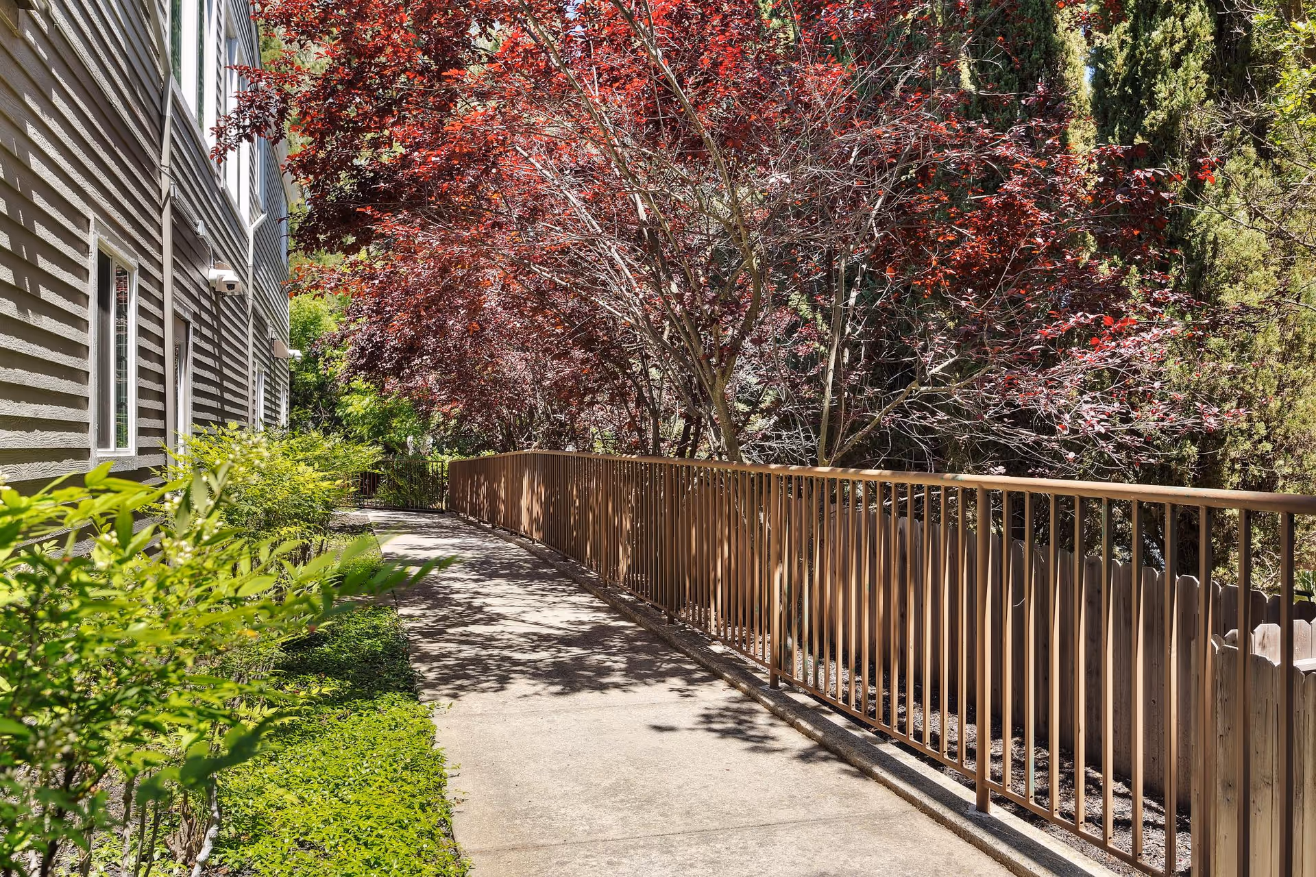 A paved outdoor walkway next to a building with beige siding, bordered by green shrubs on one side and a brown metal railing on the other. Behind the railing, there are trees with red and green leaves providing shade.