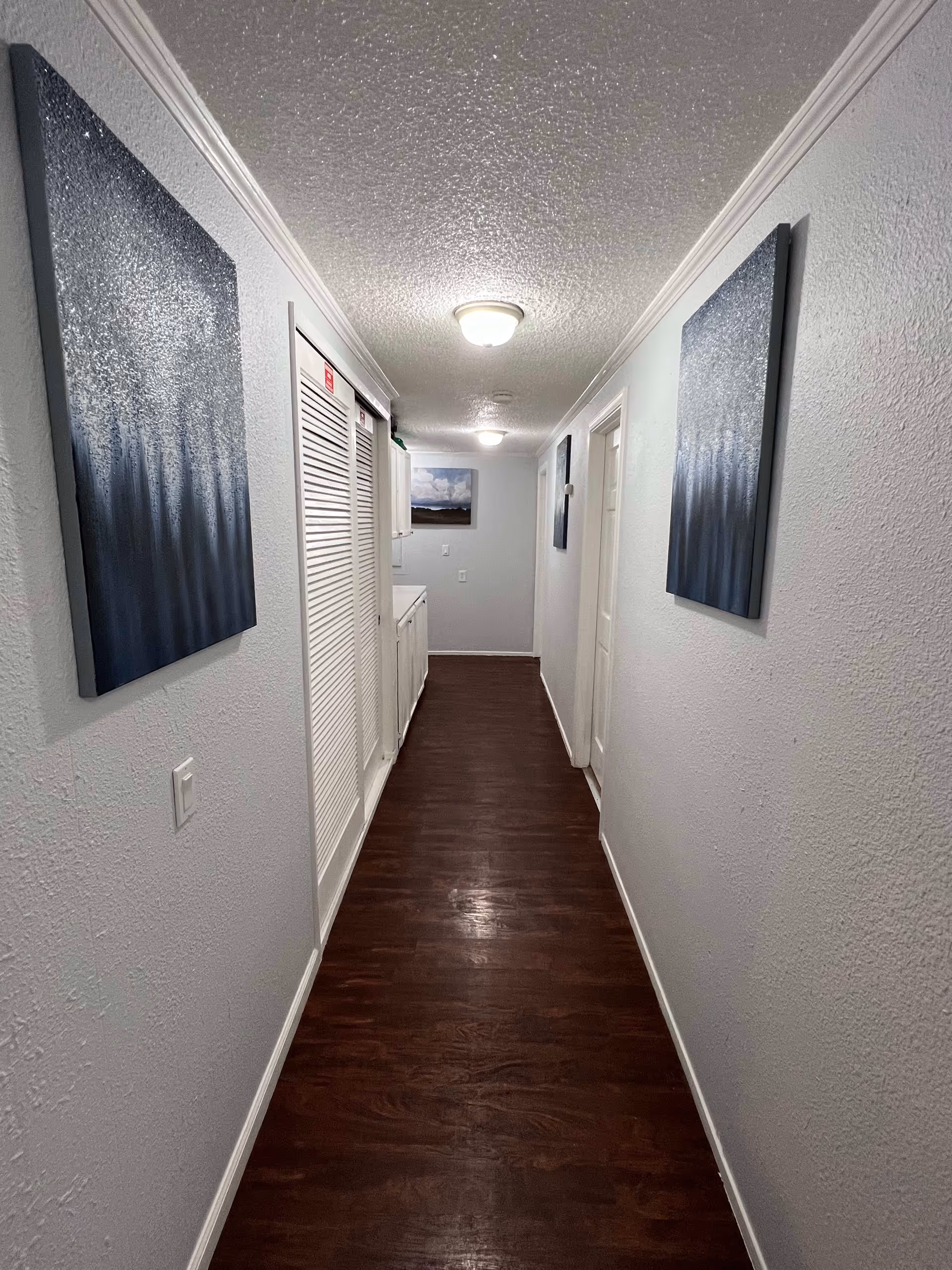 A narrow hallway with dark wooden flooring and light gray textured walls. The ceiling has two ceiling lights. On the left wall, there are two abstract paintings with dark blue and white colors. On the right wall, there is one similar painting. There are white doors and a white closet with louvered doors along the hallway.