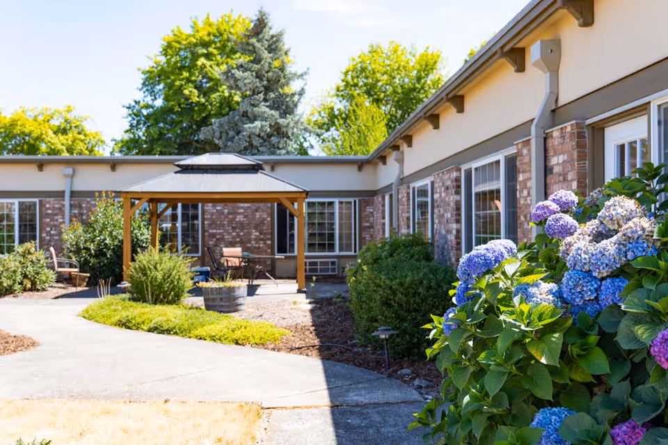 Outdoor courtyard area of a senior living facility with a wooden gazebo, surrounded by brick building walls with large windows, green shrubs, and blooming purple and blue hydrangea flowers under a clear blue sky.