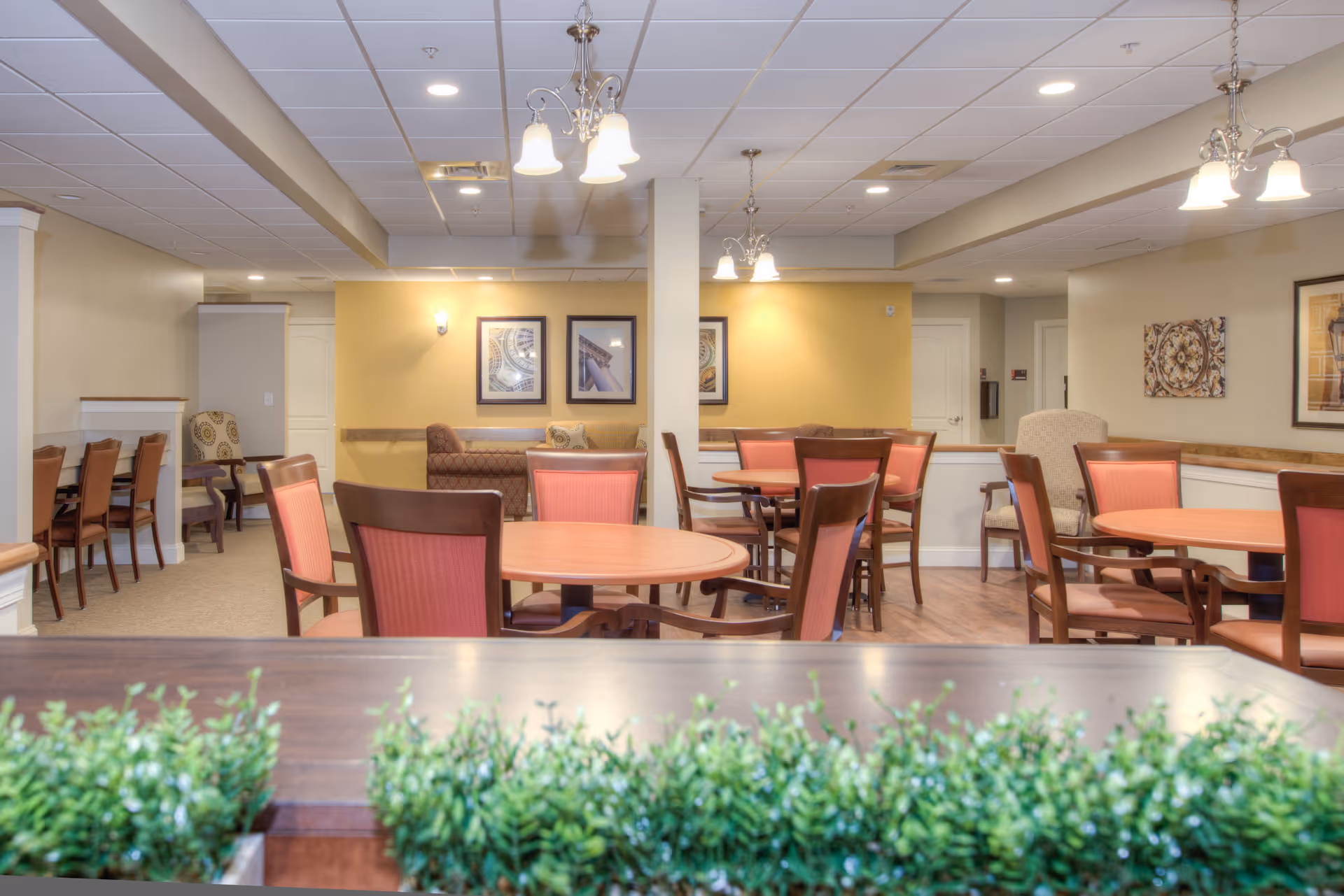 Interior view of a senior living facility dining area with round wooden tables and chairs with red upholstery. The room has beige walls, framed artwork, and ceiling lights. There is a small green plant in the foreground.
