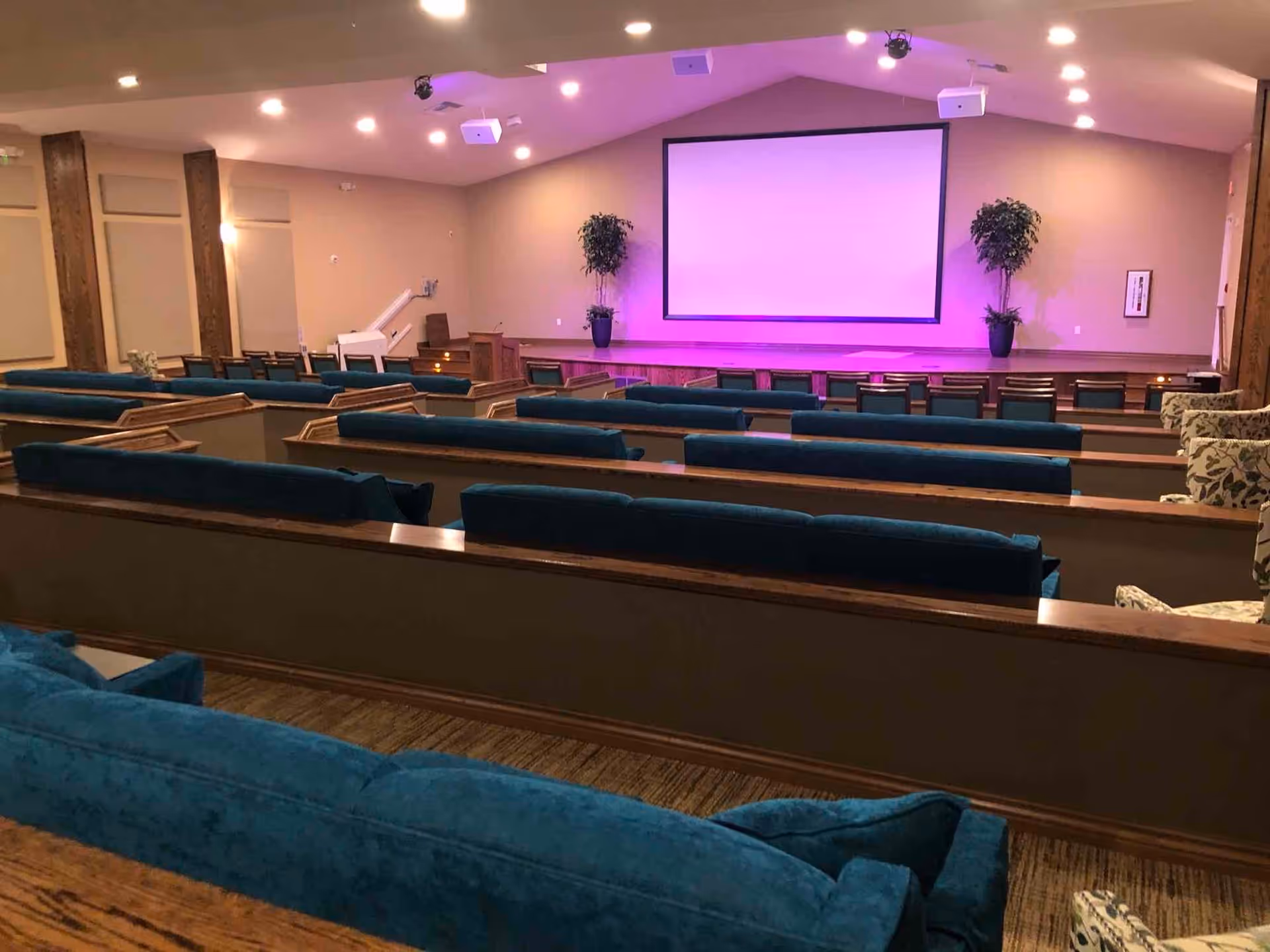 Interior view of a community room with multiple rows of blue cushioned benches facing a large projection screen on a stage, with two potted plants on either side of the screen and soft overhead lighting.