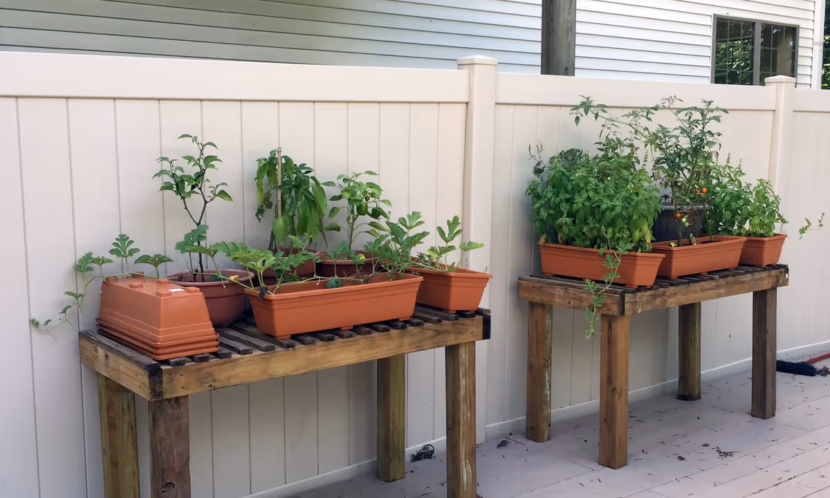 Two wooden tables with multiple rectangular and round plant pots containing various green plants and herbs, placed outdoors against a white fence and a building with white siding.
