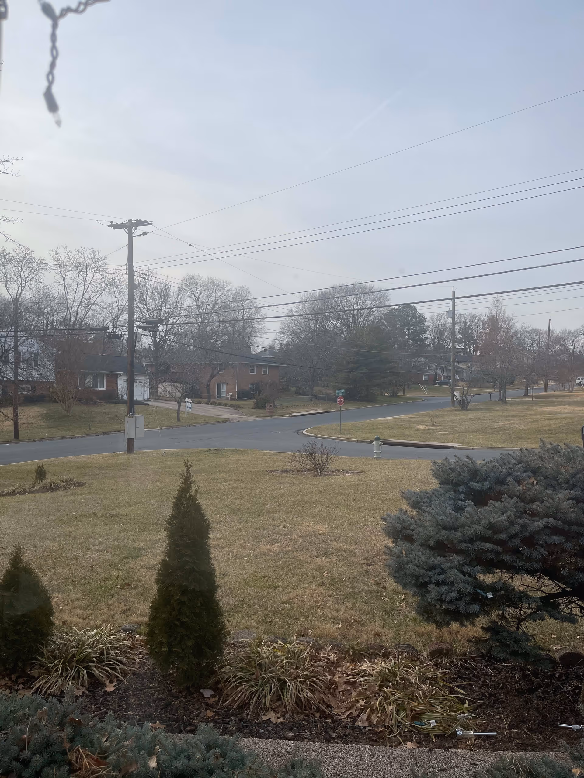 View of a suburban neighborhood street with houses, leafless trees, and a grassy lawn with small shrubs and bushes in the foreground under a cloudy sky.