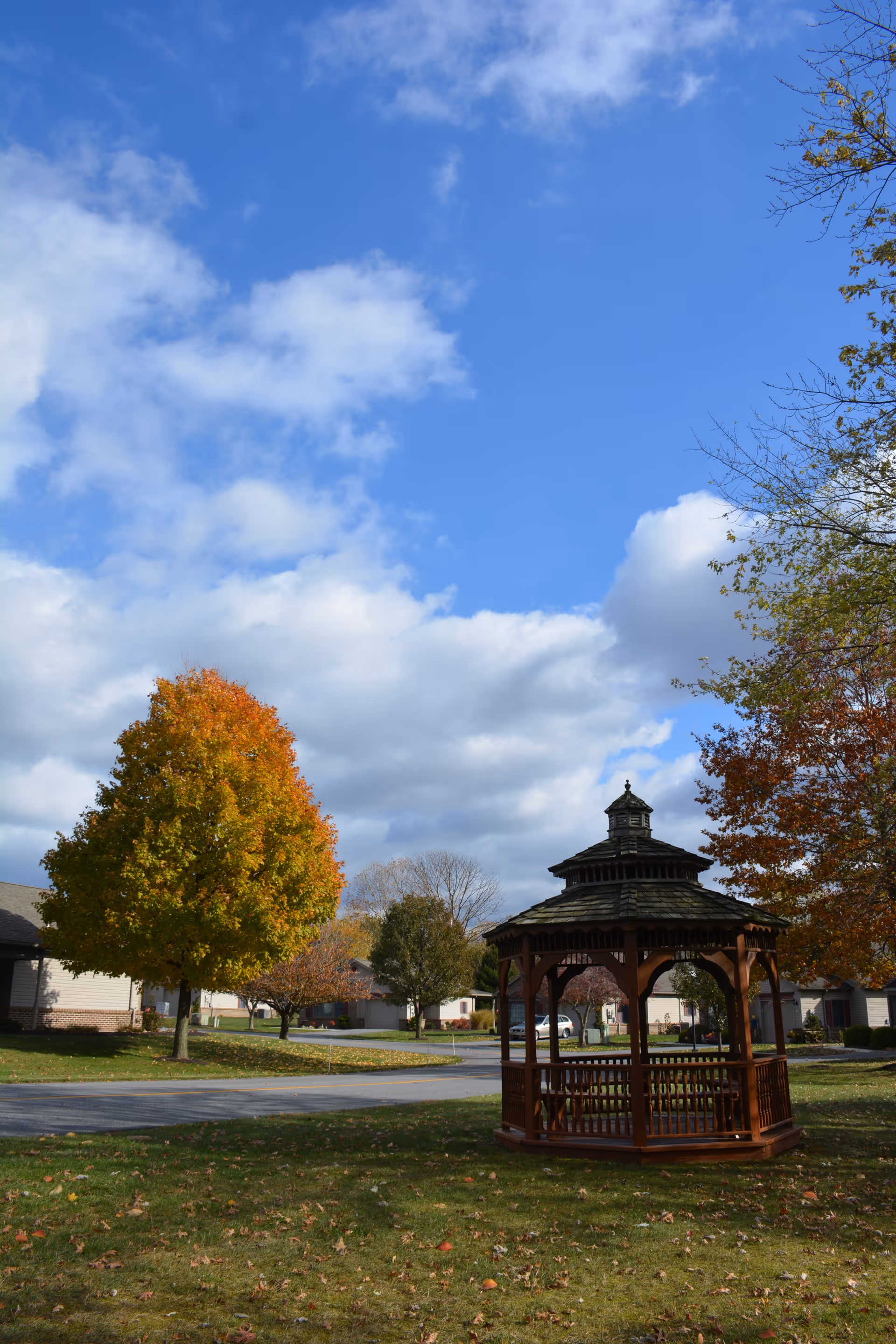 A wooden gazebo on a grassy lawn surrounded by autumn trees and nearby houses under a blue, partly cloudy sky.