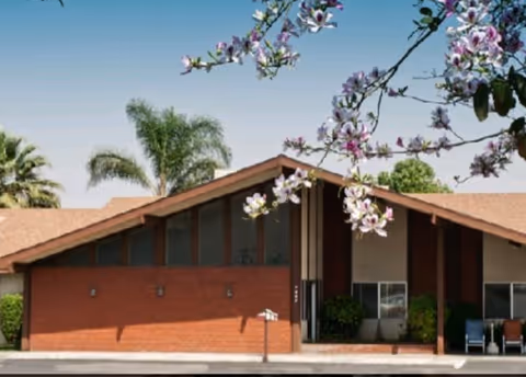 Single-story mid-century brick building with a peaked roof, entrance columns, palm trees behind it, and flowering tree branches in the foreground.