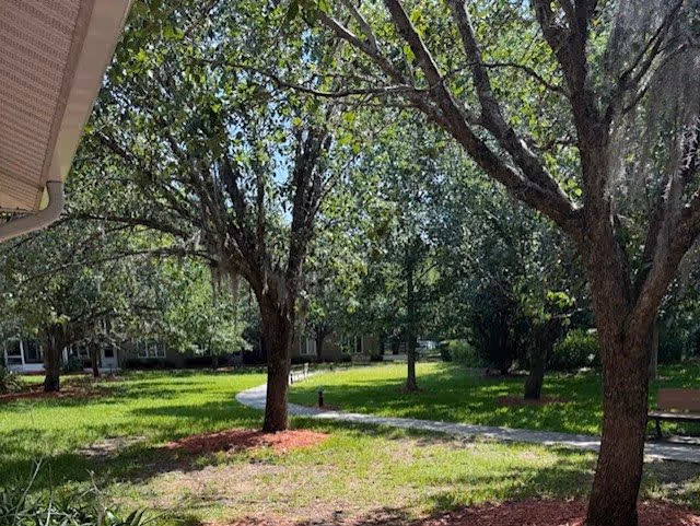 A green outdoor area with several large trees providing shade, a curved paved walkway, and a bench on the right side. In the background, parts of a building are visible through the trees.