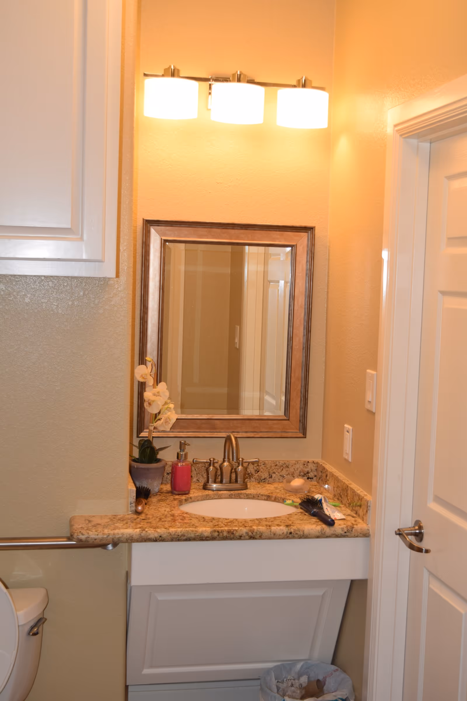A small bathroom vanity area with a granite countertop, an oval sink, a silver faucet, a framed mirror above the sink, and a three-light fixture mounted on the wall. There is a small potted orchid, a soap dispenser, a bar of soap, and a hairbrush on the countertop. A white cabinet is partially visible on the left, and a white door with a silver handle is on the right. A trash can is located below the sink.