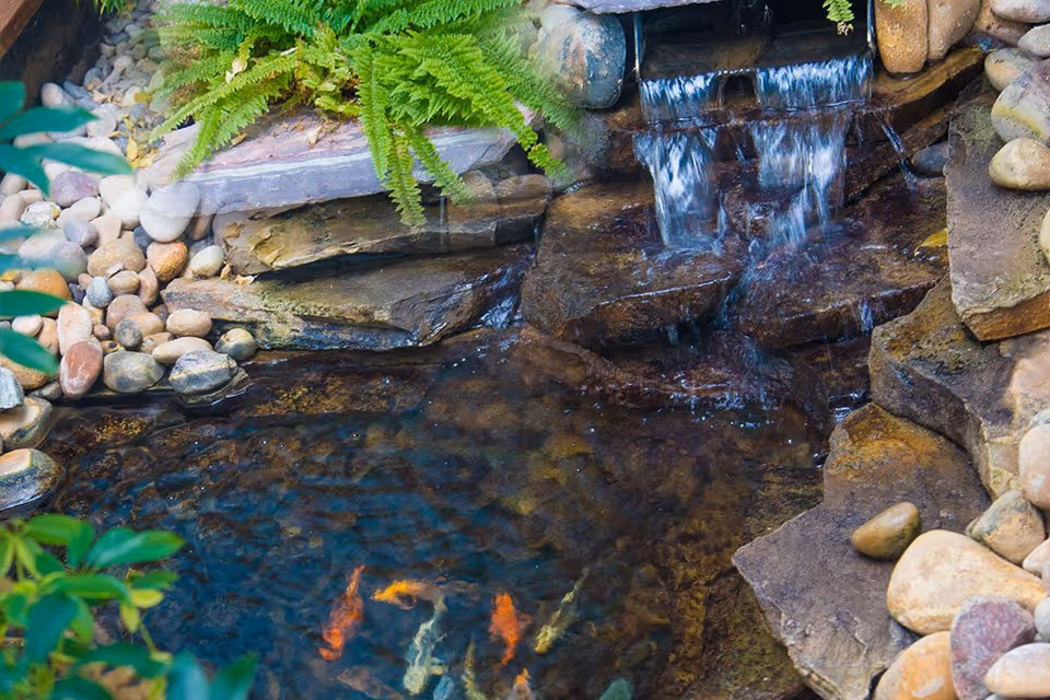 A small outdoor pond with colorful koi fish swimming near the surface, surrounded by natural rocks and green ferns. Water cascades gently over flat stones into the pond, creating a peaceful waterfall feature.