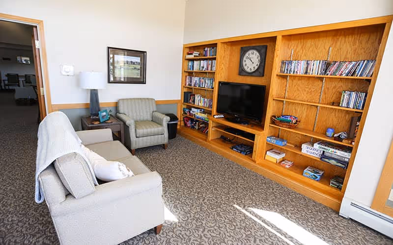 Sunlit common living room with a sofa and armchair facing built-in wooden shelving holding a TV, books, and DVDs.