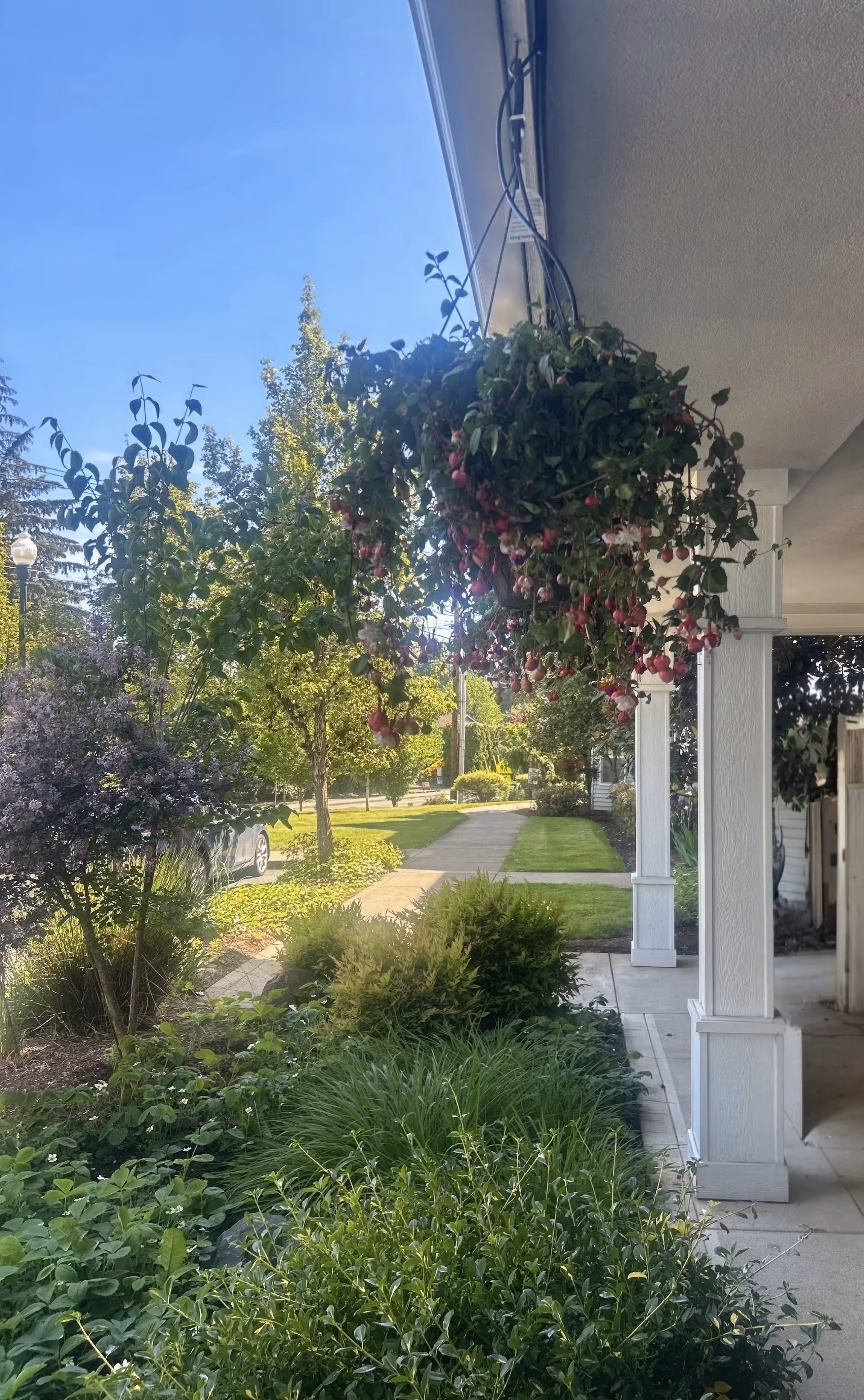 View from a covered front porch looking out over a landscaped walkway with a hanging flower basket, shrubs, and trees.