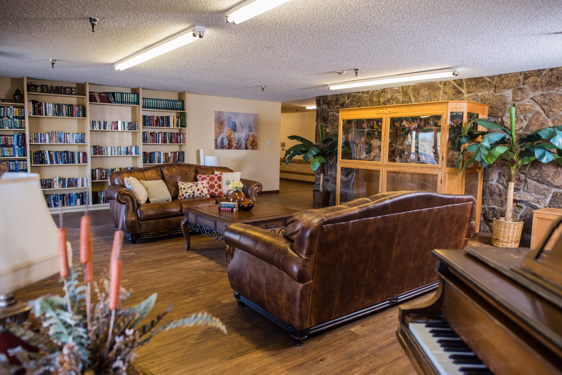 A cozy living room area with two brown leather sofas arranged around a wooden coffee table. Behind the sofas is a large bookshelf filled with books, a painting on the wall, and a wooden display cabinet against a stone wall. There are also two potted plants and a piano partially visible in the foreground.