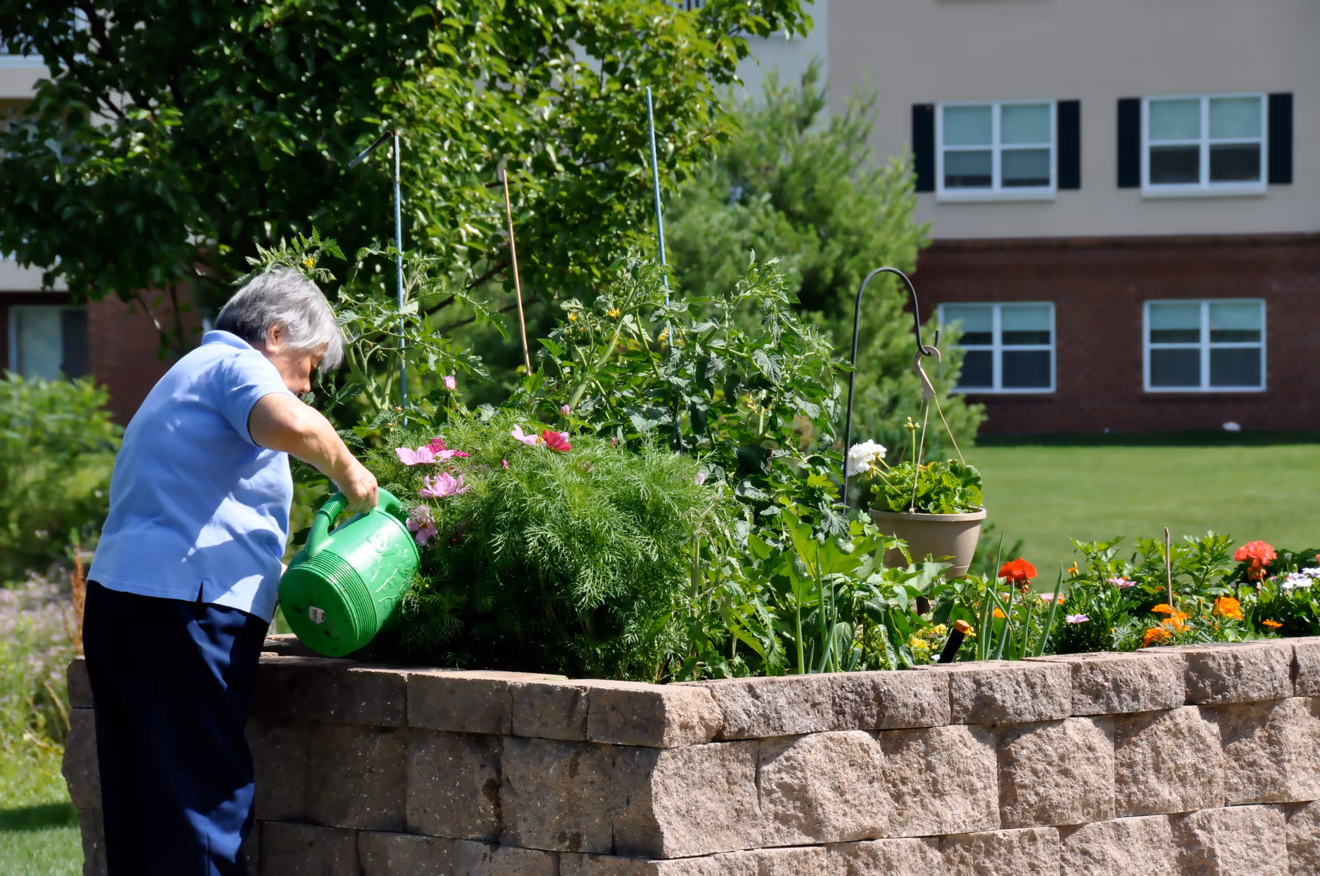 An elderly woman wearing a light blue shirt waters plants in a raised garden bed outside on a sunny day. The garden bed is made of stone blocks and contains various green plants and colorful flowers. In the background, there is a building with multiple windows and a well-maintained lawn.