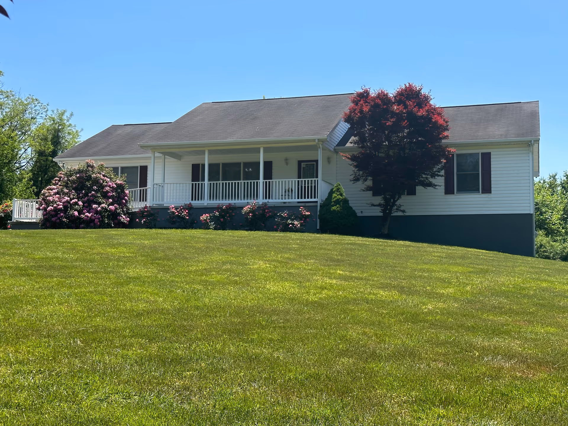 A single-story white house with a dark roof, a front porch with white railings, surrounded by green grass and trees, including a flowering bush and a tree with red leaves, under a clear blue sky.