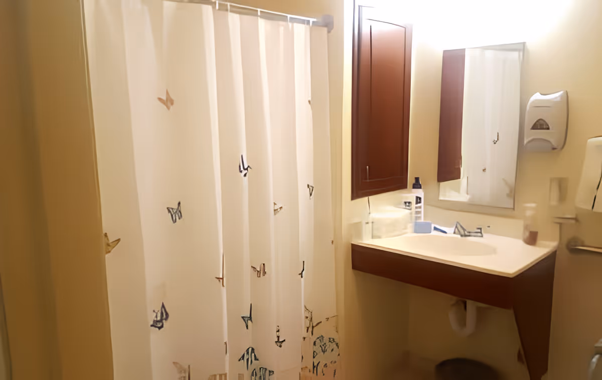 A bathroom with a shower curtain decorated with butterfly patterns, a sink with a mirror above it, a soap dispenser mounted on the wall, and a small cabinet next to the mirror.