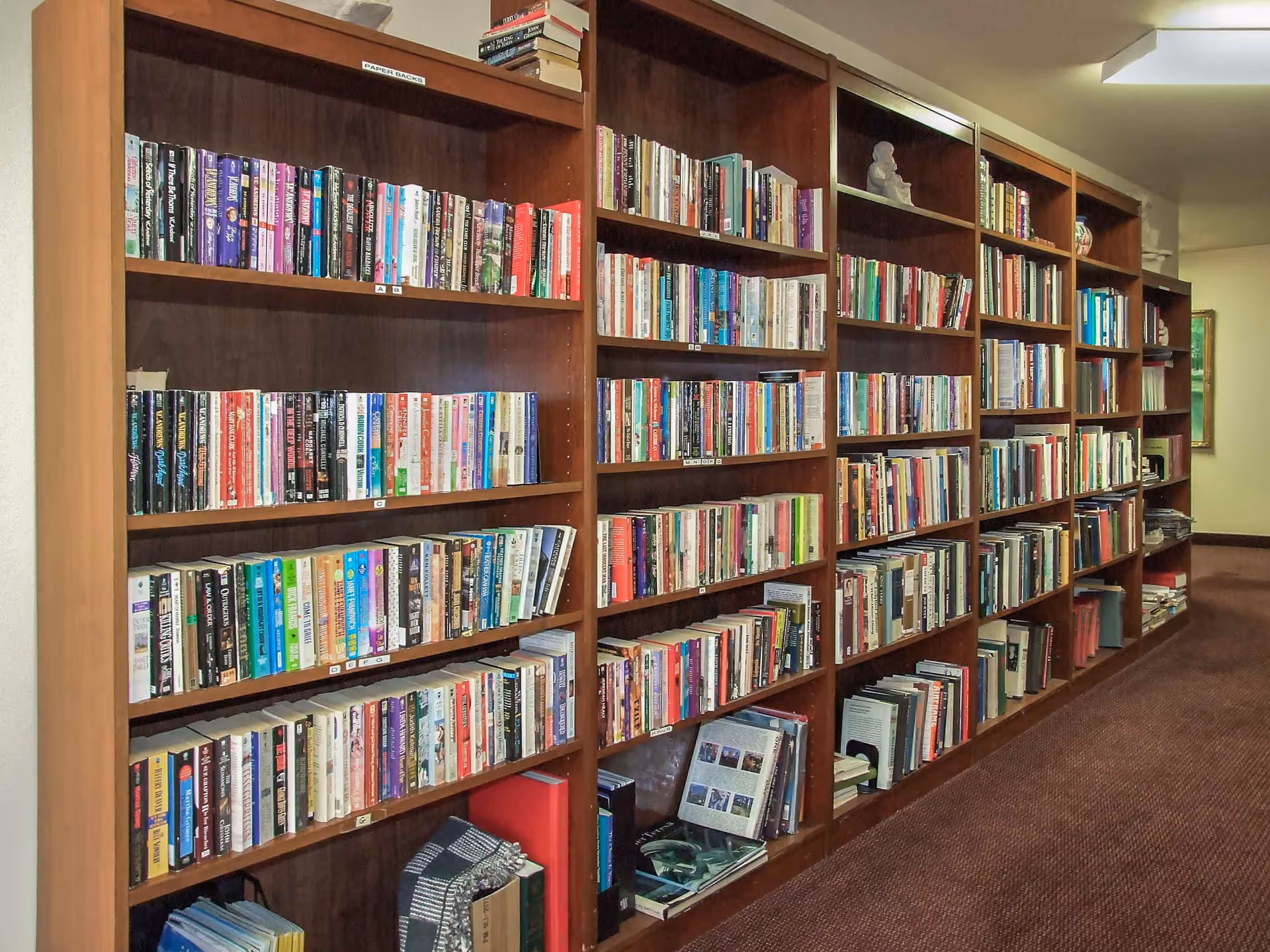 A long wooden bookshelf filled with numerous books organized on multiple shelves in a carpeted hallway with a framed picture on the wall at the end.