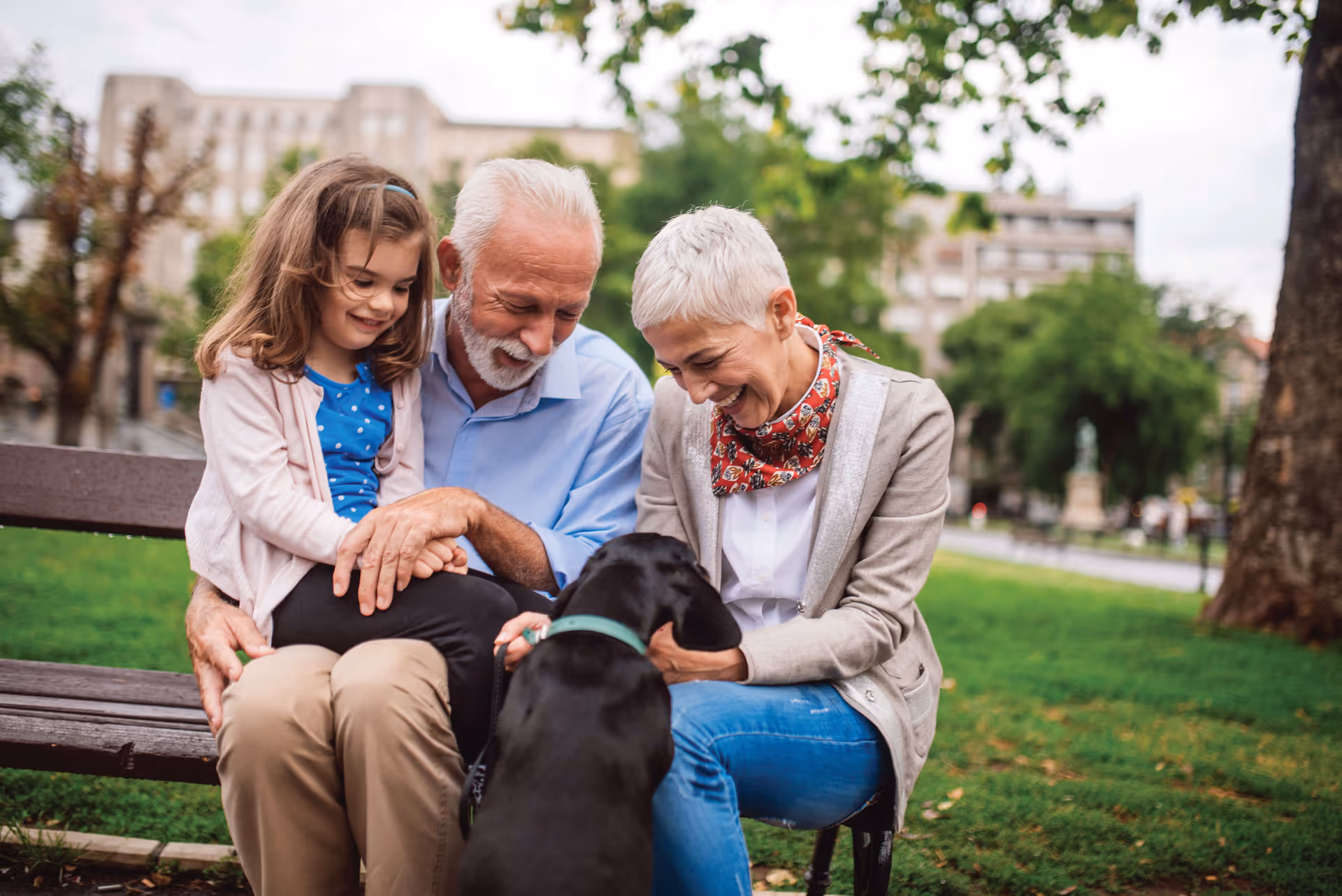 An elderly couple sitting on a park bench with a young girl and a black dog. They are smiling and interacting happily with the dog in a green outdoor setting with trees and buildings in the background.