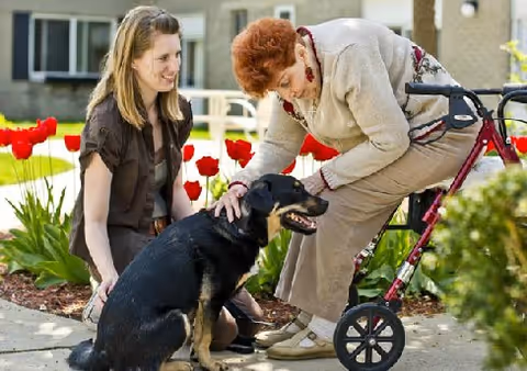 An elderly woman using a walker is petting a black and tan dog outside in a garden area with red tulips. A younger woman is crouching nearby, smiling and watching the interaction. The background shows part of a building and outdoor benches.