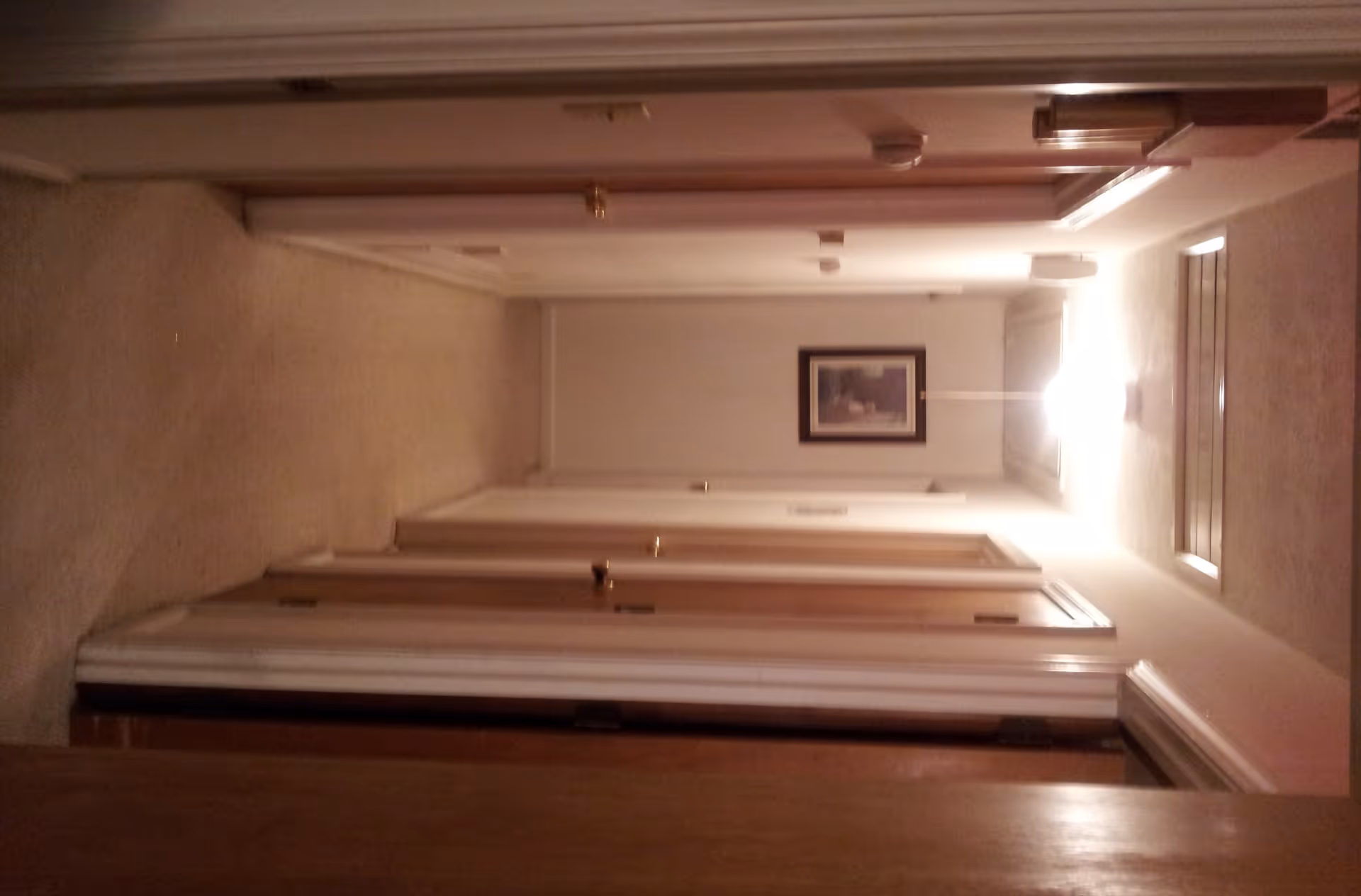A carpeted interior hallway with several closed wooden doors, a framed picture at the end, and ceiling lighting.
