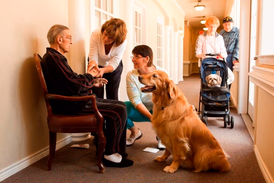 An elderly man sits in a chair in a hallway while two women, one kneeling and one standing, interact with him and a large golden retriever dog sitting nearby. In the background, an elderly woman pushes a stroller with a small dog inside, accompanied by an elderly man walking beside her. The hallway is well-lit with windows on one side and doors on the other.