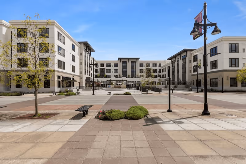 Wide paved courtyard area with benches, small bushes, and young trees surrounded by a modern four-story building under a clear blue sky.