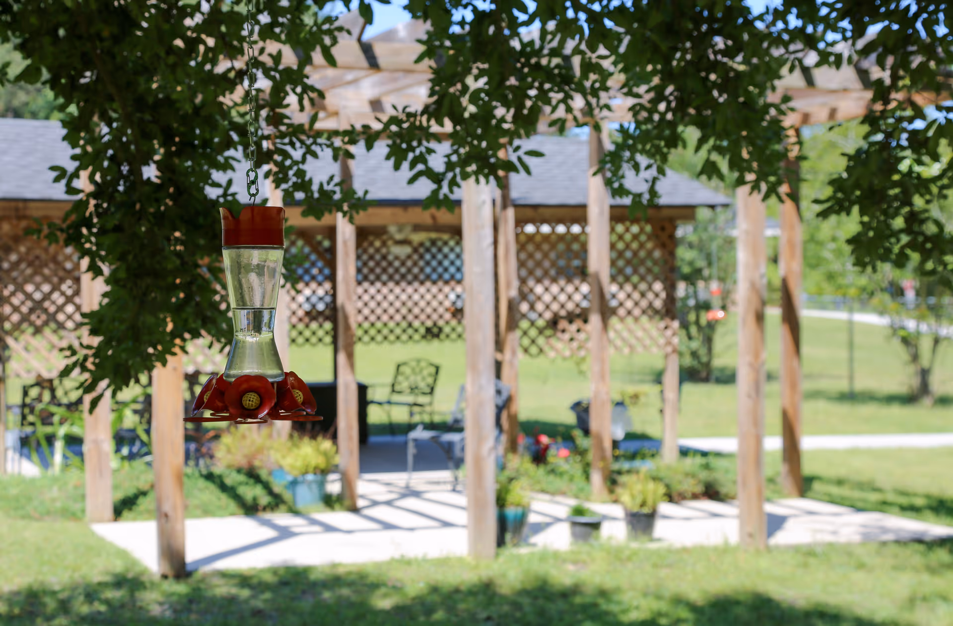 A red hummingbird feeder hanging from a tree branch in the foreground with a wooden pergola and garden chairs in the background, surrounded by green grass and plants on a sunny day.
