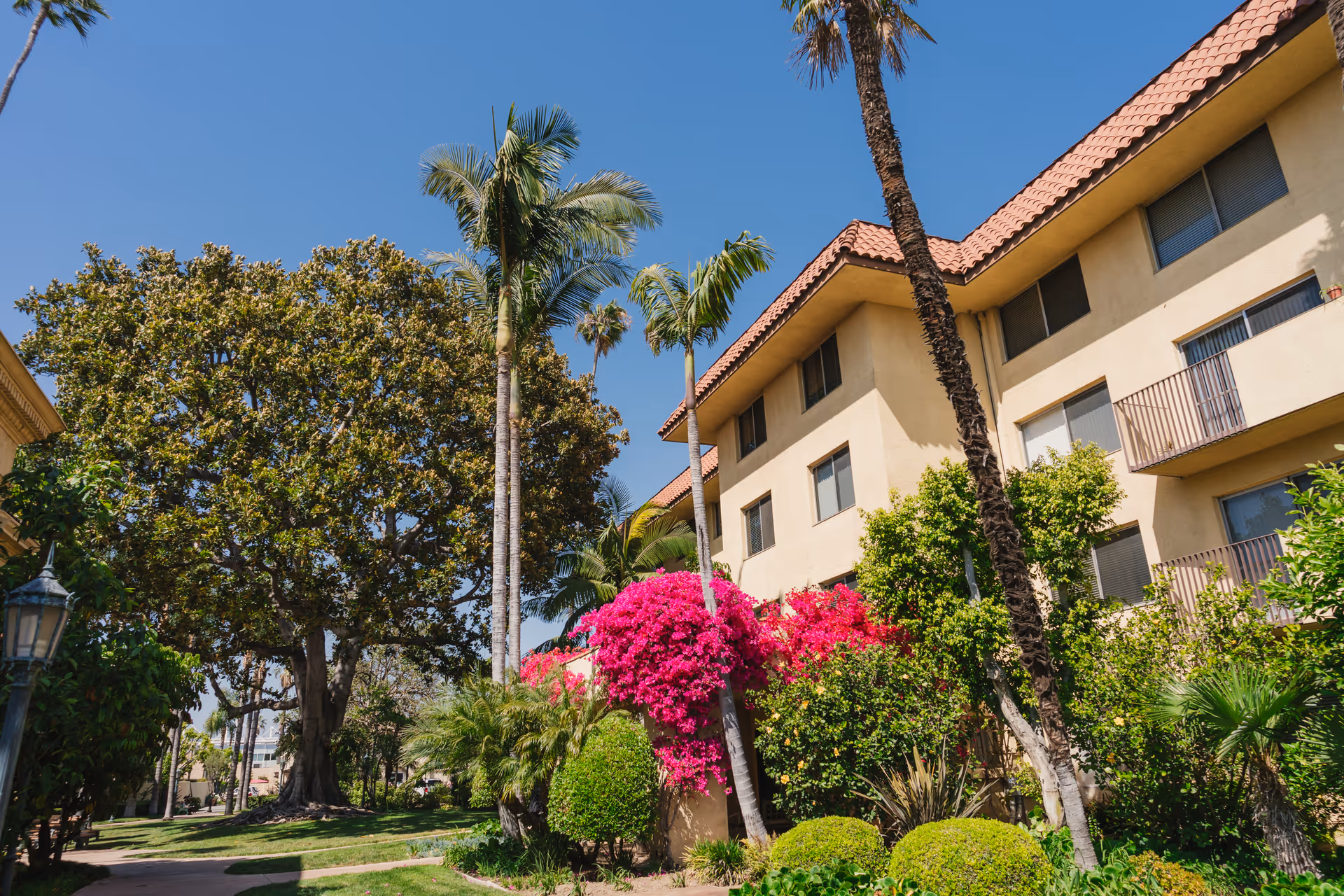 Exterior of a multi-story residential building with palm trees, lush landscaping and bright pink bougainvillea under a clear blue sky.