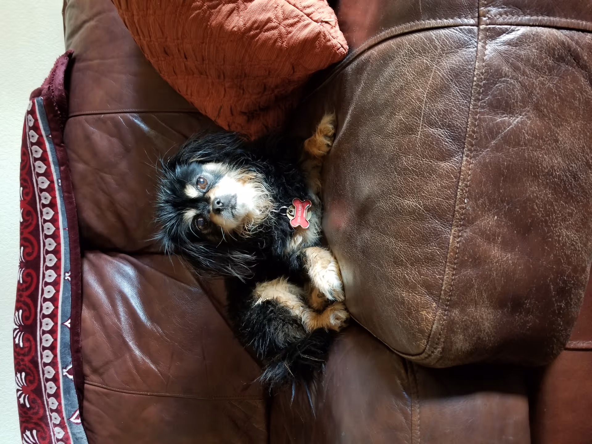 Photo 11 of Healing Hearts Assisted Living