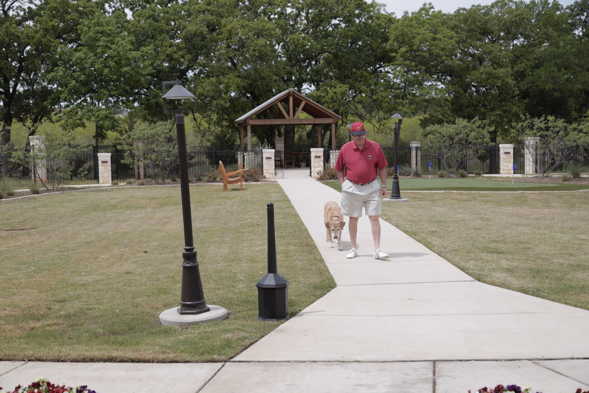 An elderly man wearing a red shirt, white shorts, and a red cap walks on a paved pathway with a golden retriever dog in a green outdoor garden area. There are trees, a wooden gazebo, benches, and lamp posts surrounding the pathway.