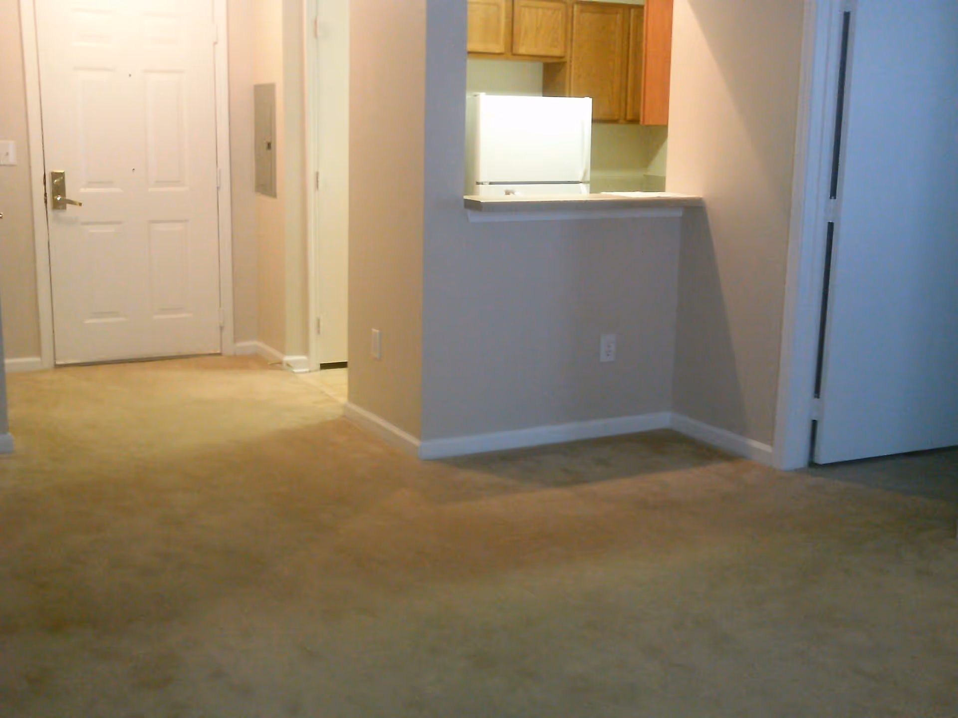 Carpeted apartment living area with an entry door and a kitchen pass-through counter.