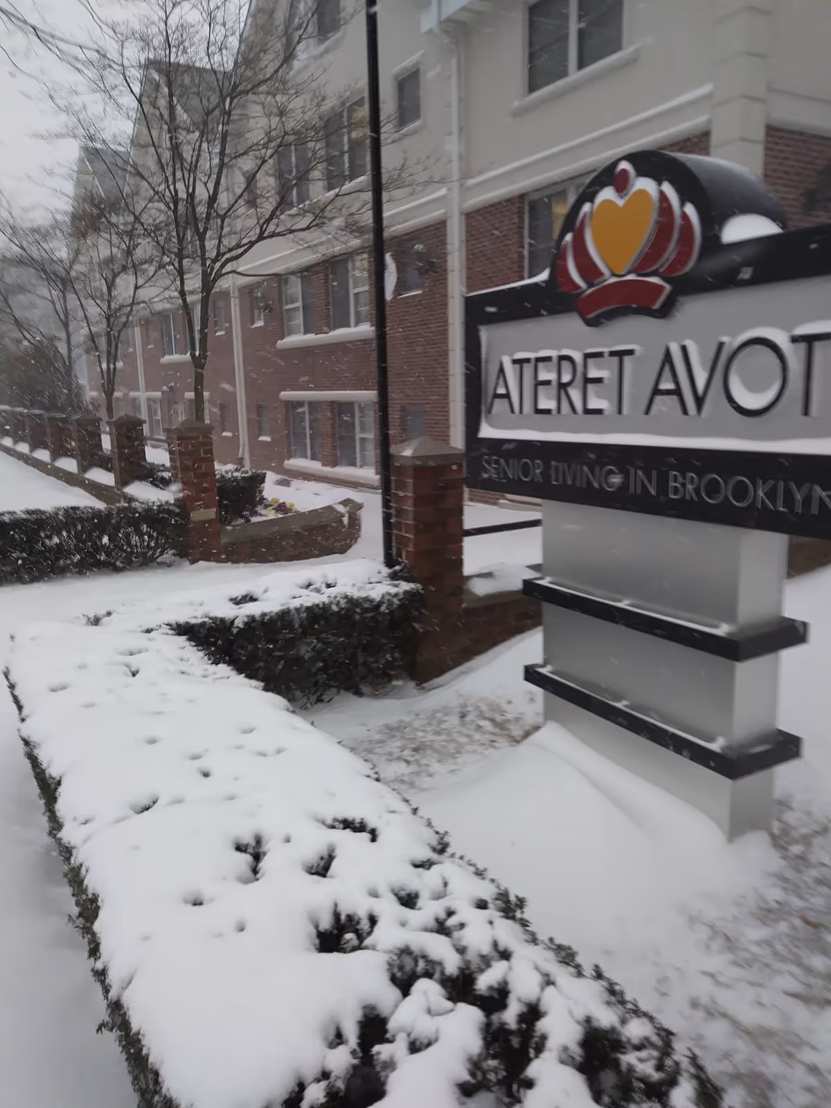 Snow-covered bushes and walkway in front of a multi-story brick and white senior living building with a sign that reads 'Ateret Avot Senior Living in Brooklyn' on a snowy day.