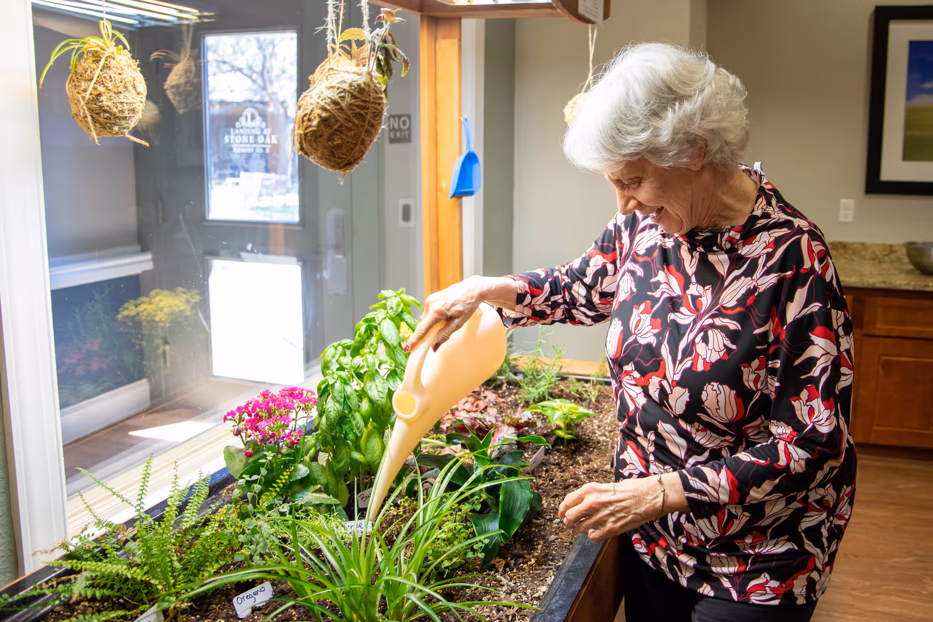 An elderly woman with white hair wearing a floral patterned shirt is watering plants in an indoor garden bed near a window. The garden bed contains various green plants and flowers, and two hanging plants are visible in front of the window. The setting appears to be a bright and welcoming indoor space.