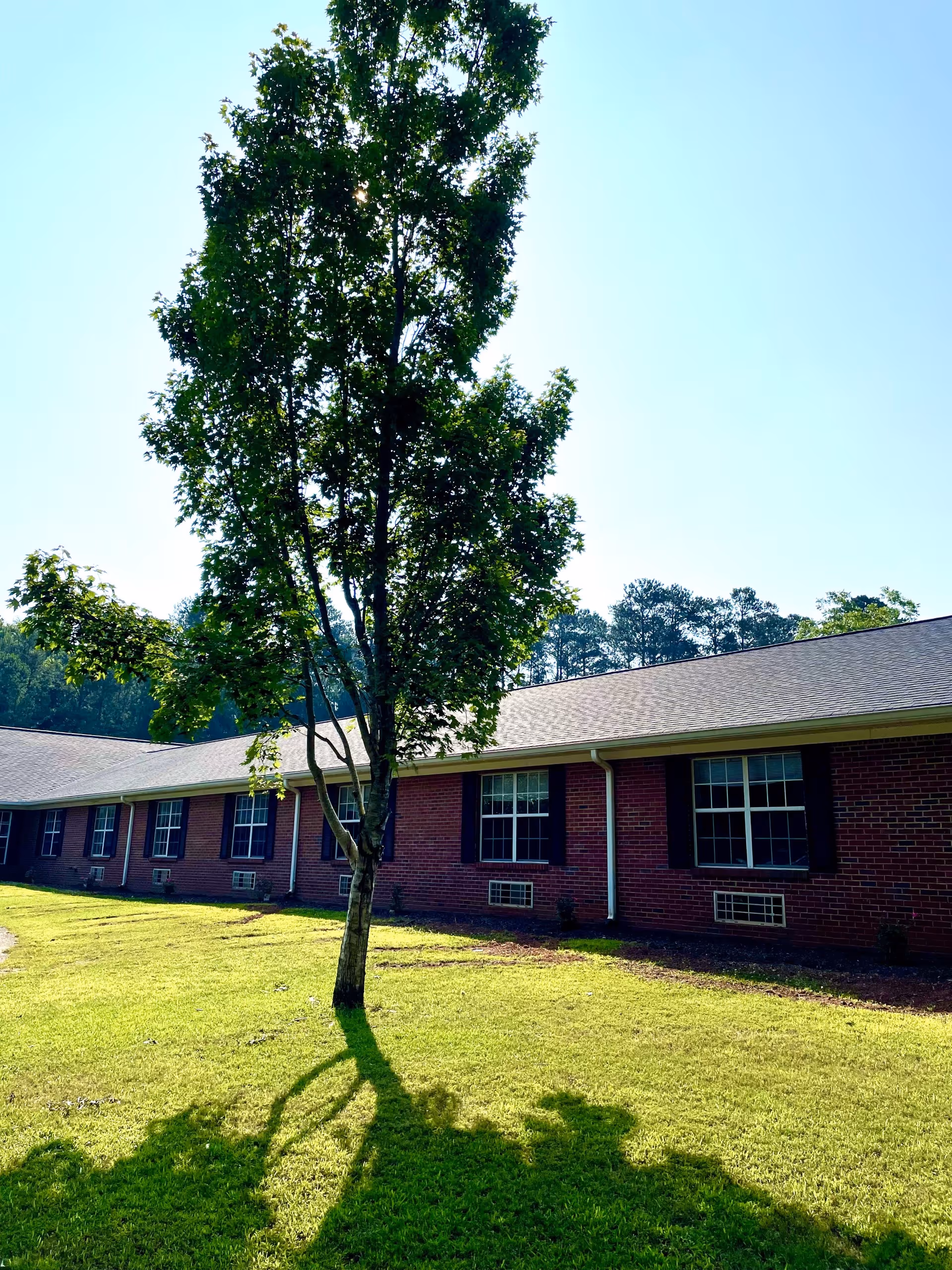 Single-story brick memory care building with windows and a tree casting a shadow on a grassy lawn.