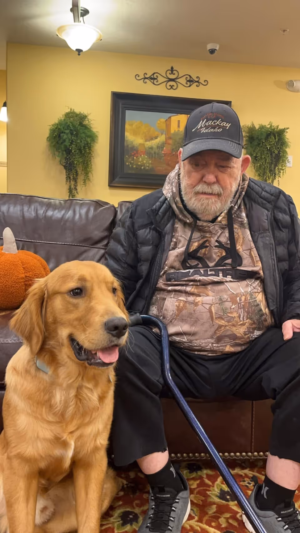 An elderly man wearing a camouflage hoodie, black jacket, and a Mackay Idaho cap sits on a brown leather couch holding a blue cane. Next to him is a golden retriever dog sitting on a patterned carpet. Behind them is a yellow wall with a framed painting and two green hanging plants.
