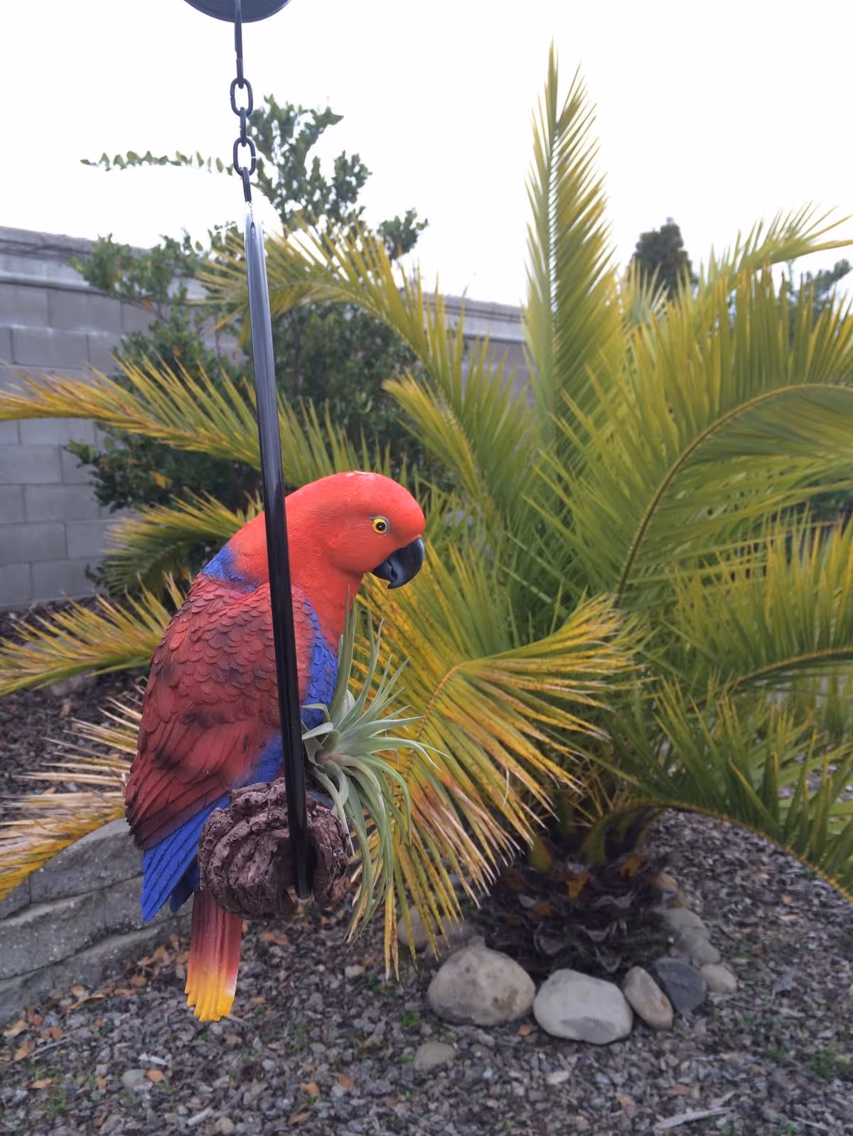 A colorful red and blue parrot figurine hanging from a black metal hook in a garden area with green palm plants and rocks on the ground.