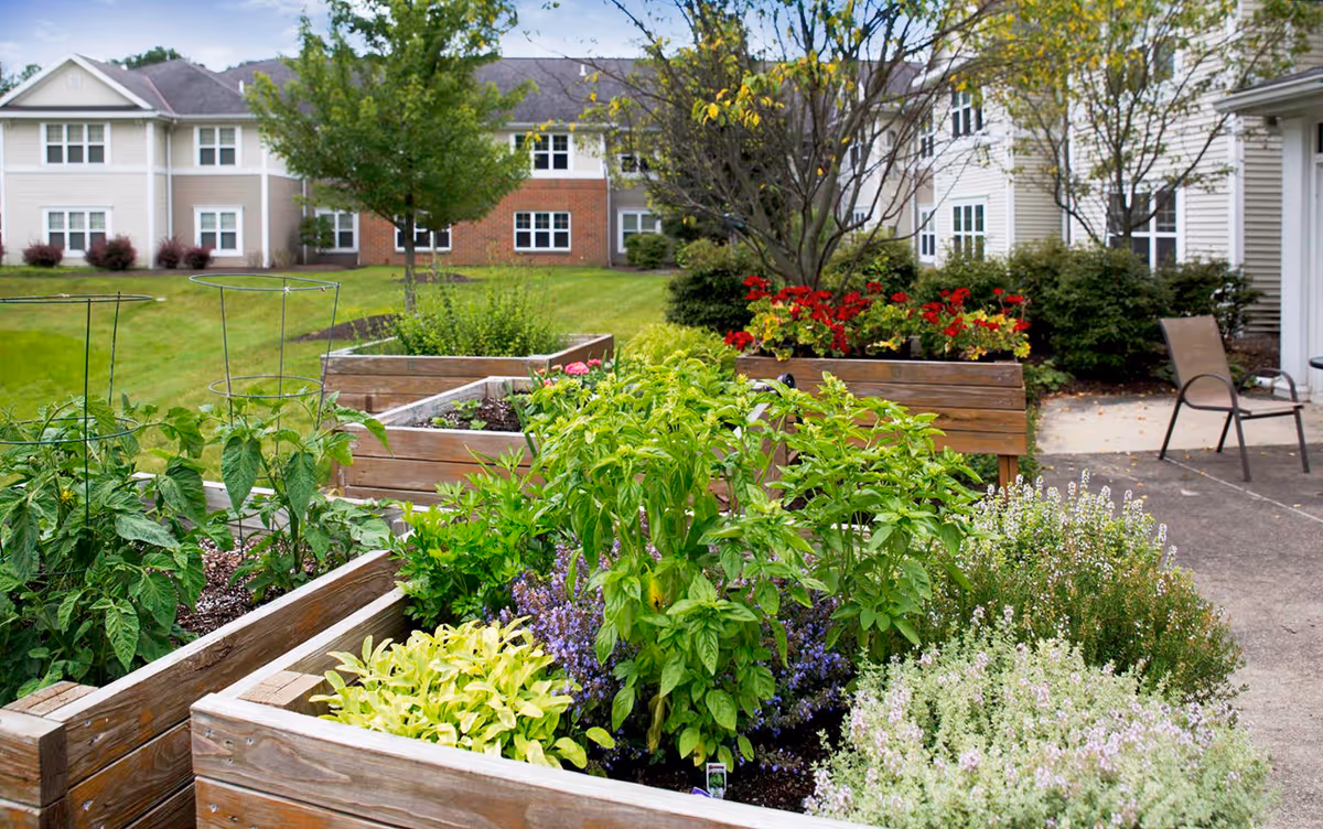 Raised wooden garden beds planted with herbs and flowers in a courtyard with apartment buildings in the background.