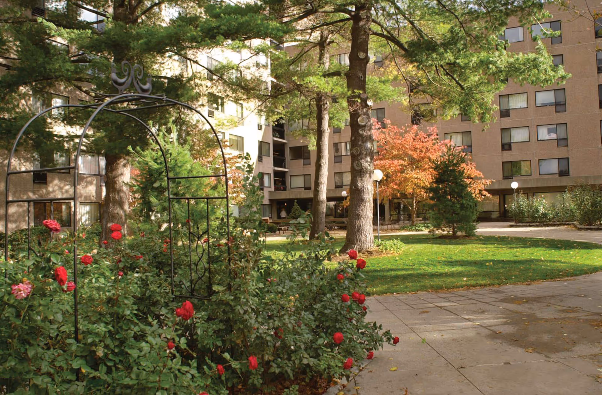 Courtyard with rose bushes, trees, a paved walkway, and a multi-story apartment building in the background.
