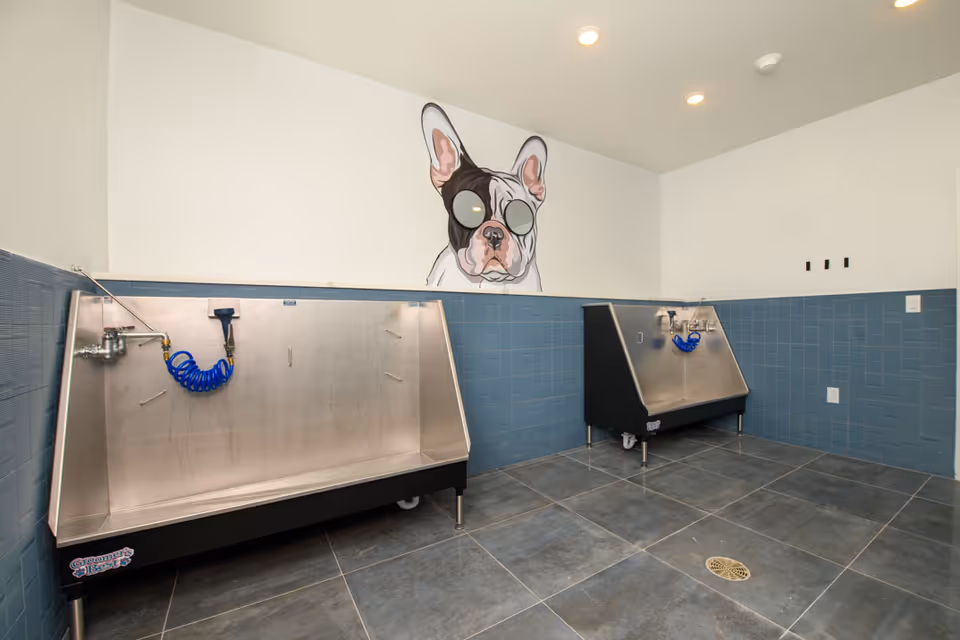 Room with two large stainless steel pet washing stations mounted against blue tiled walls, a tiled floor with a drain, and a wall mural of a French bulldog wearing goggles.