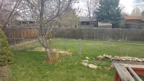 Backyard with a green lawn, a chain-link gate and wooden privacy fence, a leafless tree, rocks, and part of a deck railing.