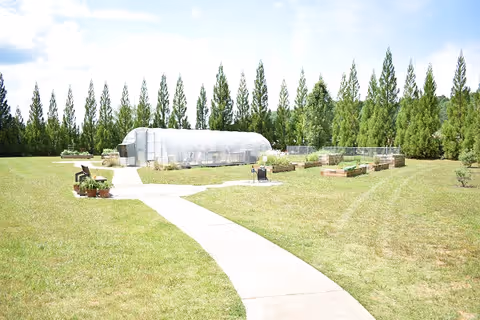 A large grassy outdoor area with a concrete pathway leading to a greenhouse structure surrounded by raised garden beds. Tall evergreen trees form a dense backdrop behind the garden area under a bright sky.