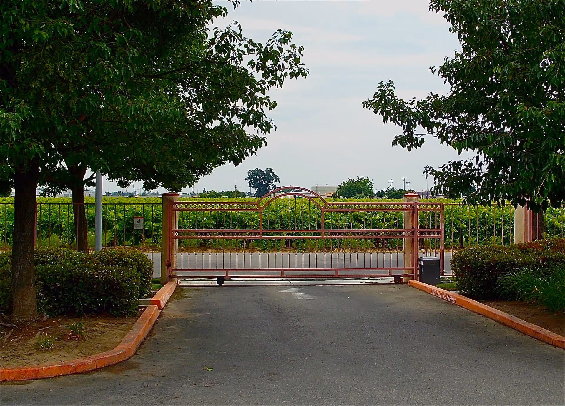 A gated entrance surrounded by greenery and vineyards.