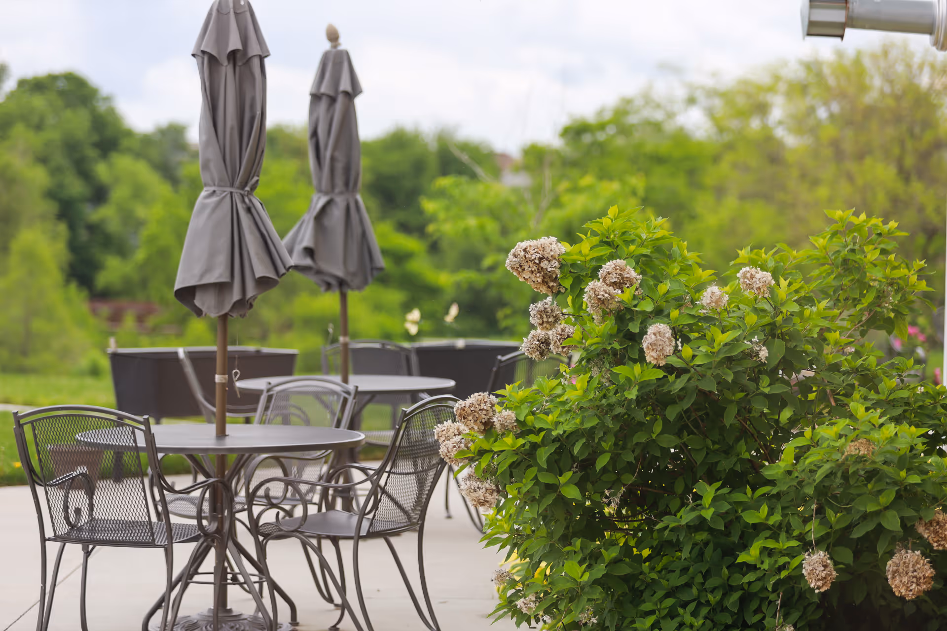 Outdoor patio area with metal tables and chairs, featuring closed umbrellas. There is a green bush with dried flowers in the foreground and lush green trees in the background.
