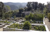 Raised garden beds filled with various plants and vegetables in an outdoor garden area surrounded by trees and hills in the background under a clear sky.