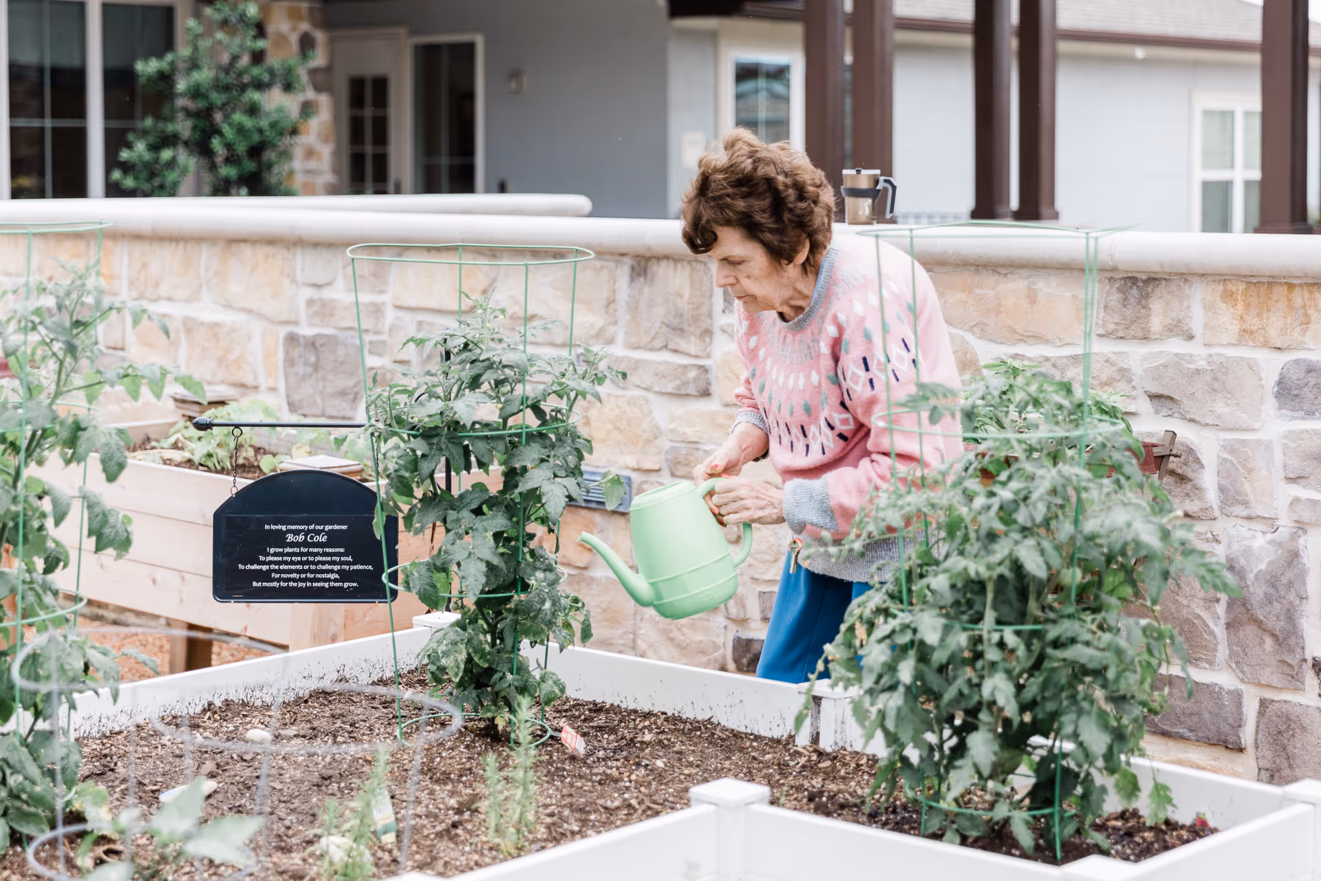 An elderly woman wearing a pink sweater waters plants in a raised garden bed outdoors, with a stone wall and building in the background.