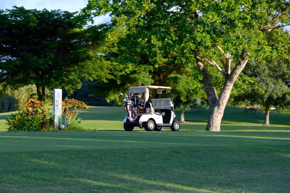A golf cart with golf bags parked on a green golf course surrounded by trees and bushes under a clear sky.