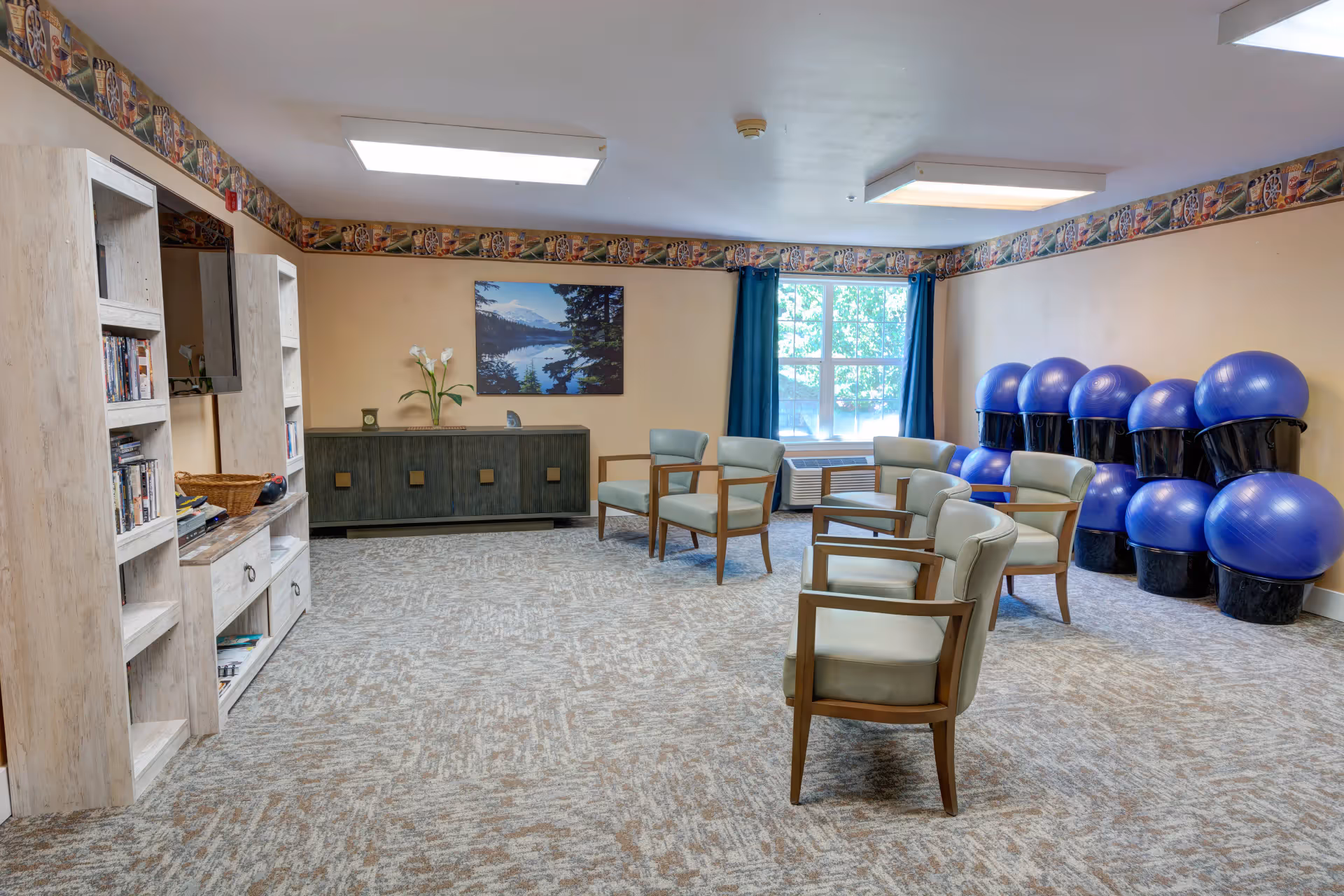 A bright common activity room with chairs arranged in a circle, stacked blue exercise balls, bookshelves, a cabinet, and a window.