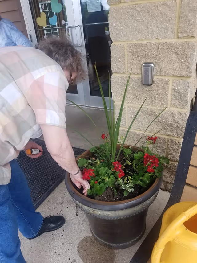 An older adult bending over to tend red flowers in a large planter at the entrance of a building.