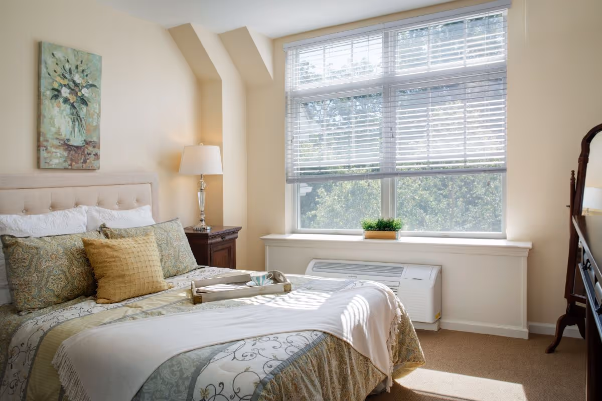 Sunlit bedroom with a made bed and decorative pillows, a nightstand with lamp, a window with blinds, and a small plant on the windowsill.