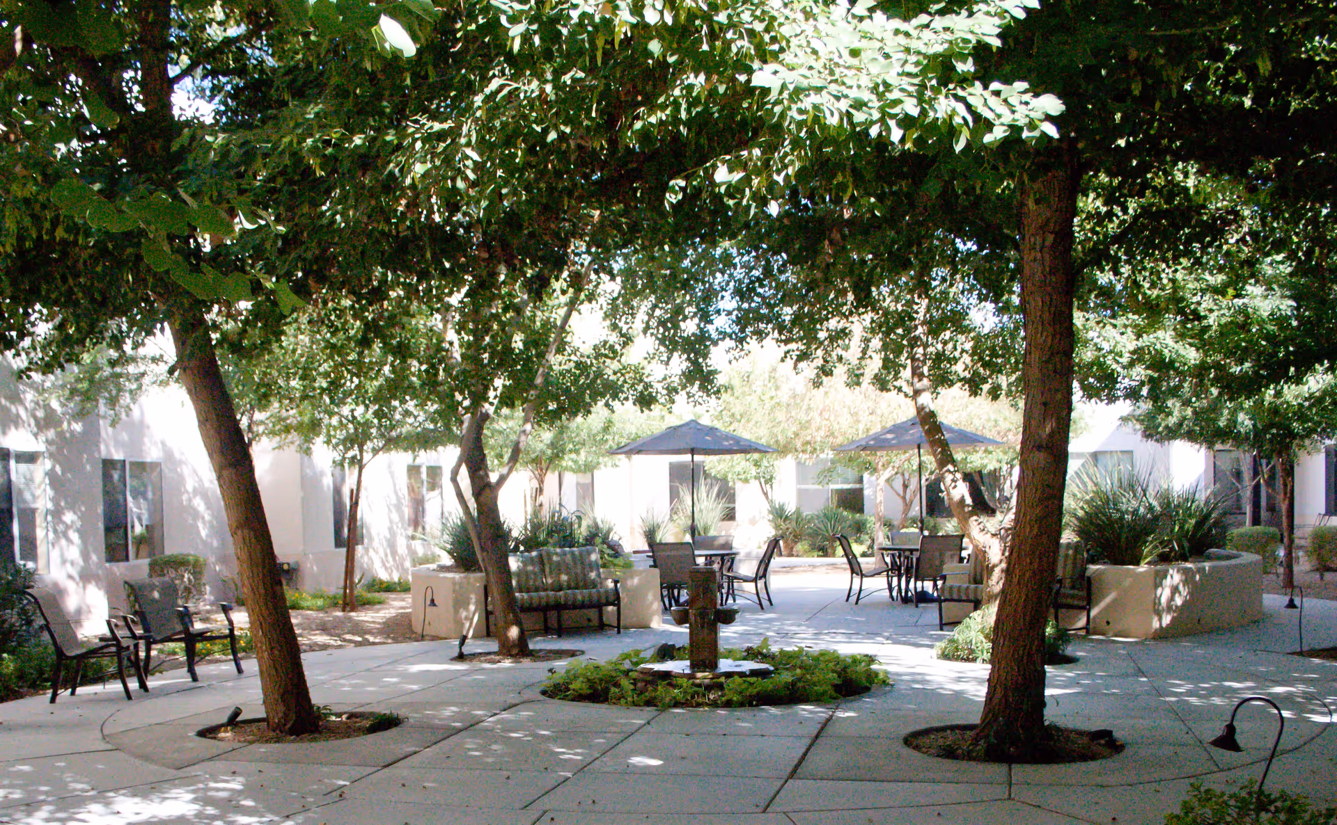 Outdoor courtyard area with several trees providing shade, surrounded by a paved walkway. There are multiple seating areas with chairs, tables, and umbrellas. The courtyard is enclosed by a building with windows visible in the background.