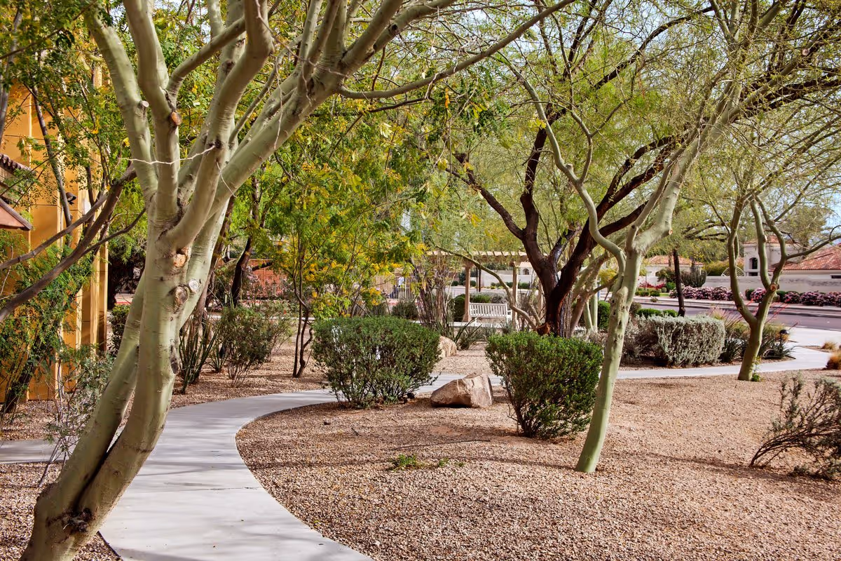 A landscaped outdoor area with a curved concrete walkway surrounded by desert plants, small bushes, trees, and gravel ground cover. A white bench and a pergola are visible in the background near the street.