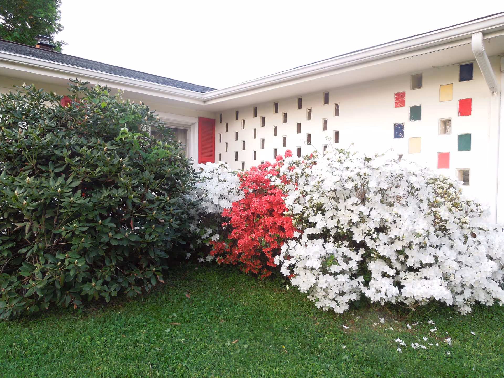 Exterior view of a building corner with a white wall featuring small rectangular and square decorative openings. There are red, green, and yellow square accents on the wall. In front of the wall, there are bushes with white and red flowers, and a green leafy shrub on the left side. The grass is green and well-maintained.